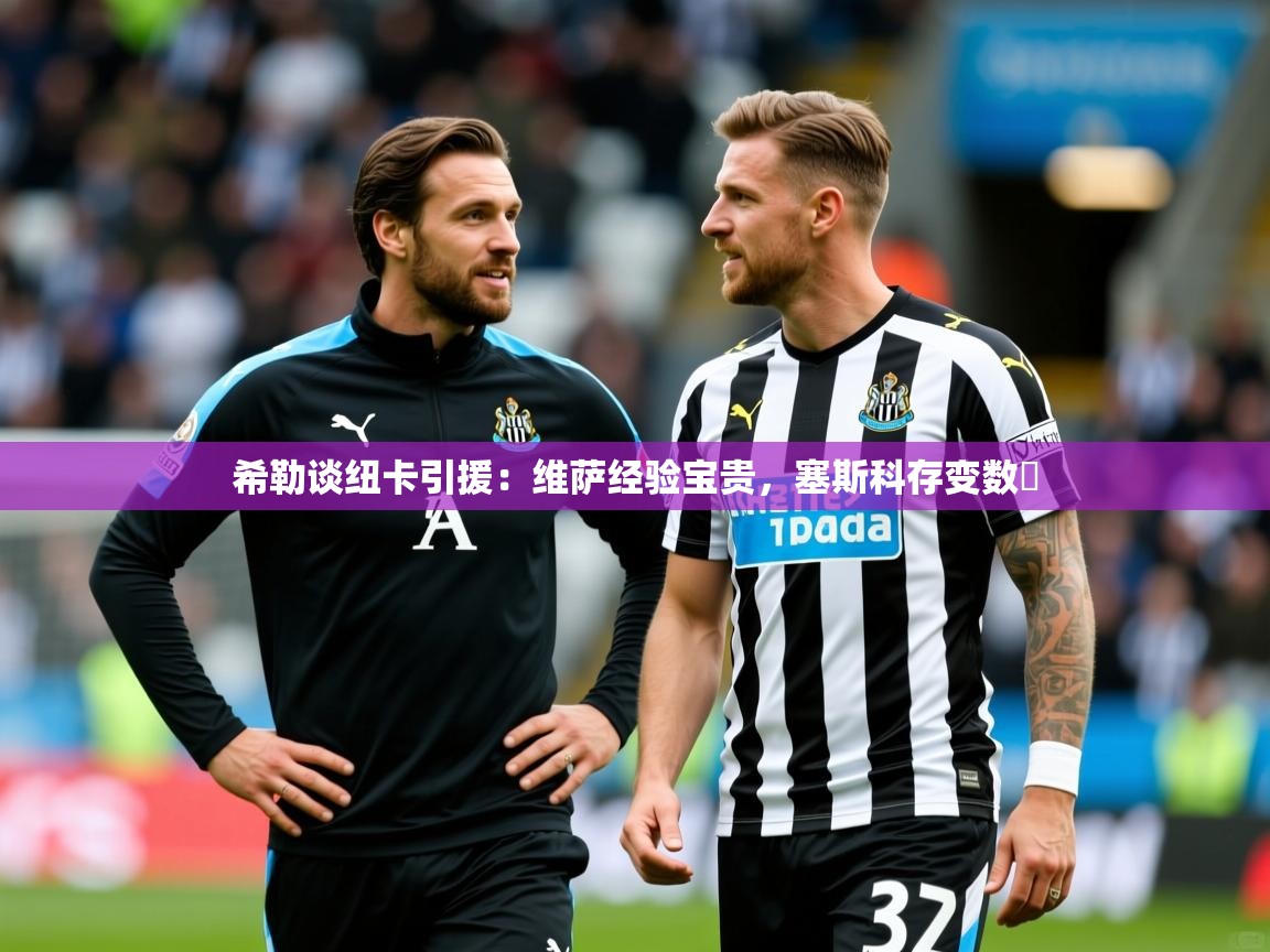 2025九游娱乐官方网站希勒谈纽卡引援:维萨经验宝贵,塞斯科存变数 第1张