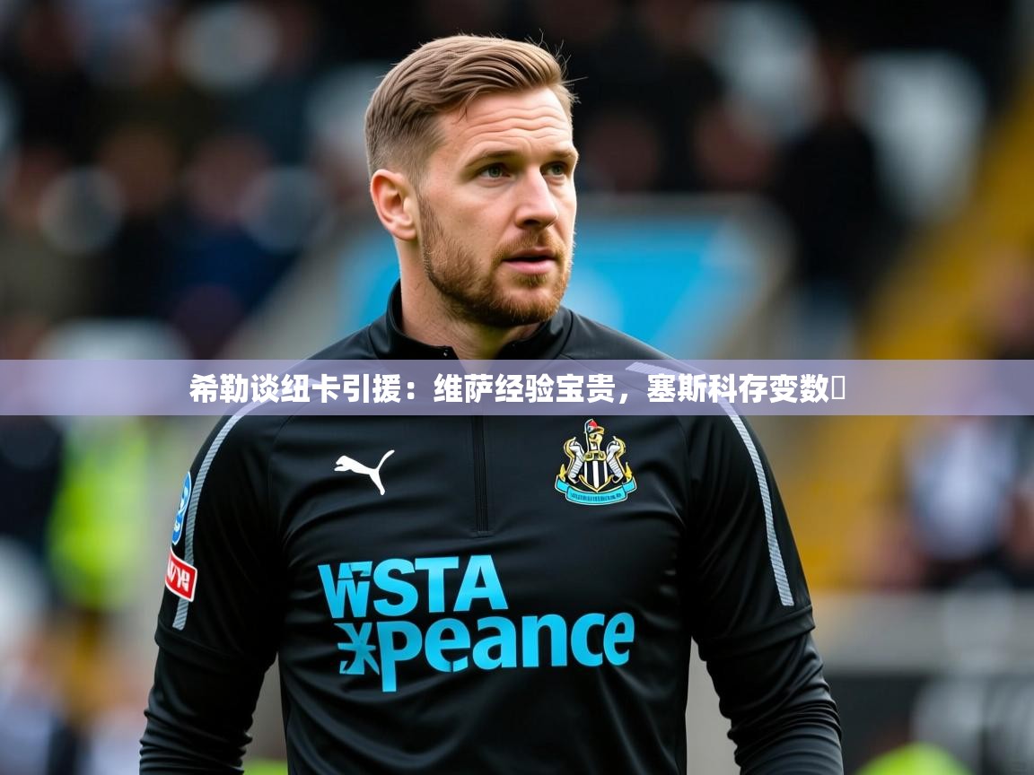 2025九游娱乐官方网站希勒谈纽卡引援:维萨经验宝贵,塞斯科存变数 第3张