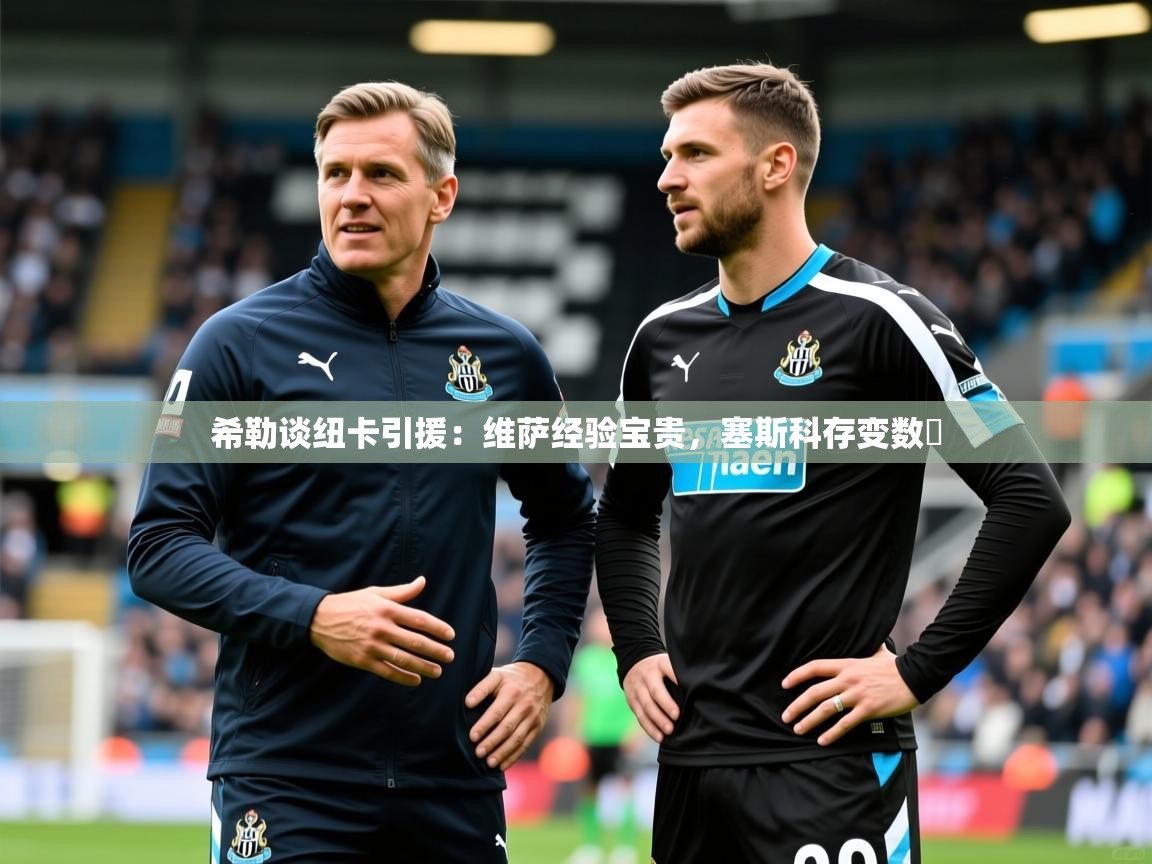 2025九游娱乐官方网站希勒谈纽卡引援:维萨经验宝贵,塞斯科存变数 第4张